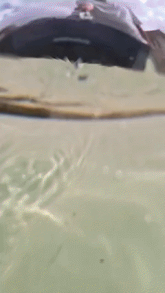 OrganicSocial1-V3-ezgif.com-video-to-gif-converter.gif