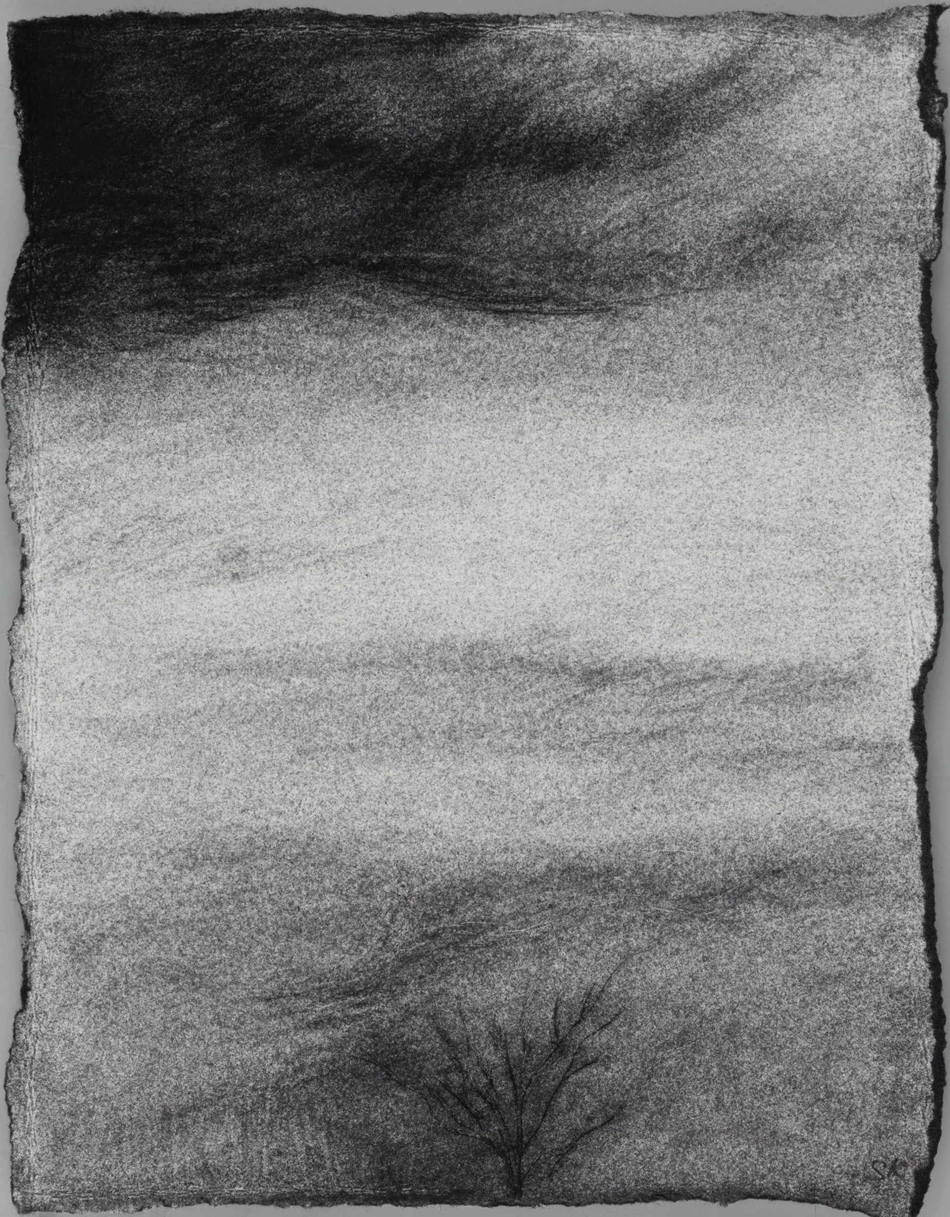   View from a Window III,  2000  Charcoal &amp; Drypoint on Paper, 20 x 16cm. 