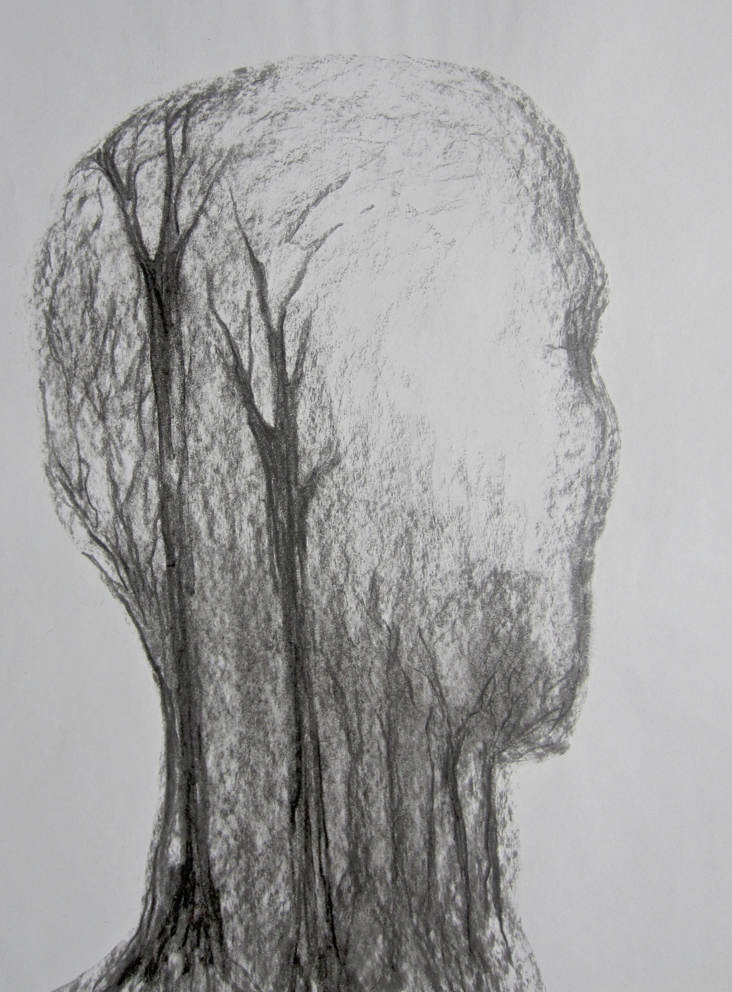 Head Space , 2013 Charcoal, 42 x 30cm.