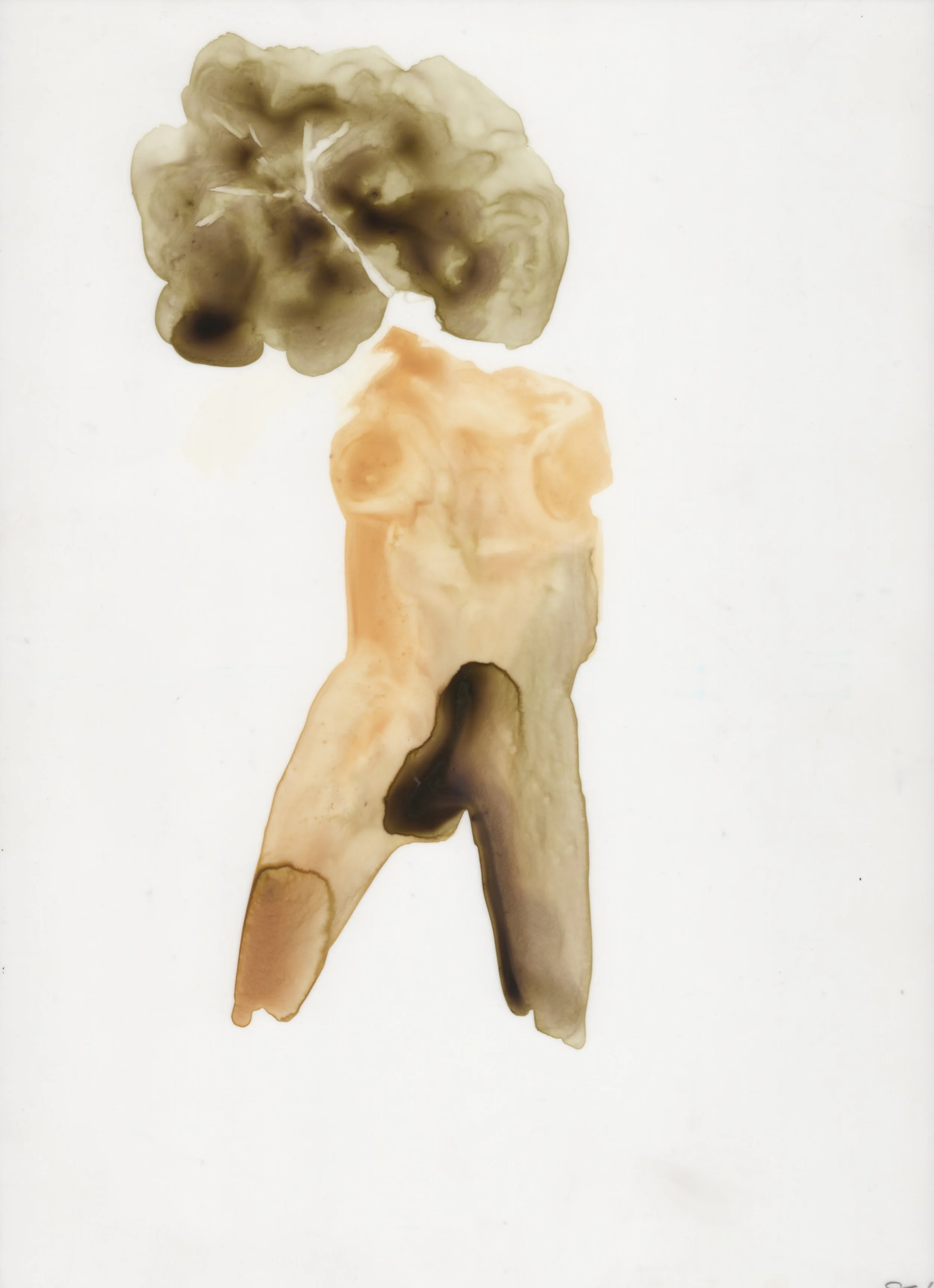 Untitled , 2018 Watercolour & Pencil on Translucent Paper, 30 x 23 cm.