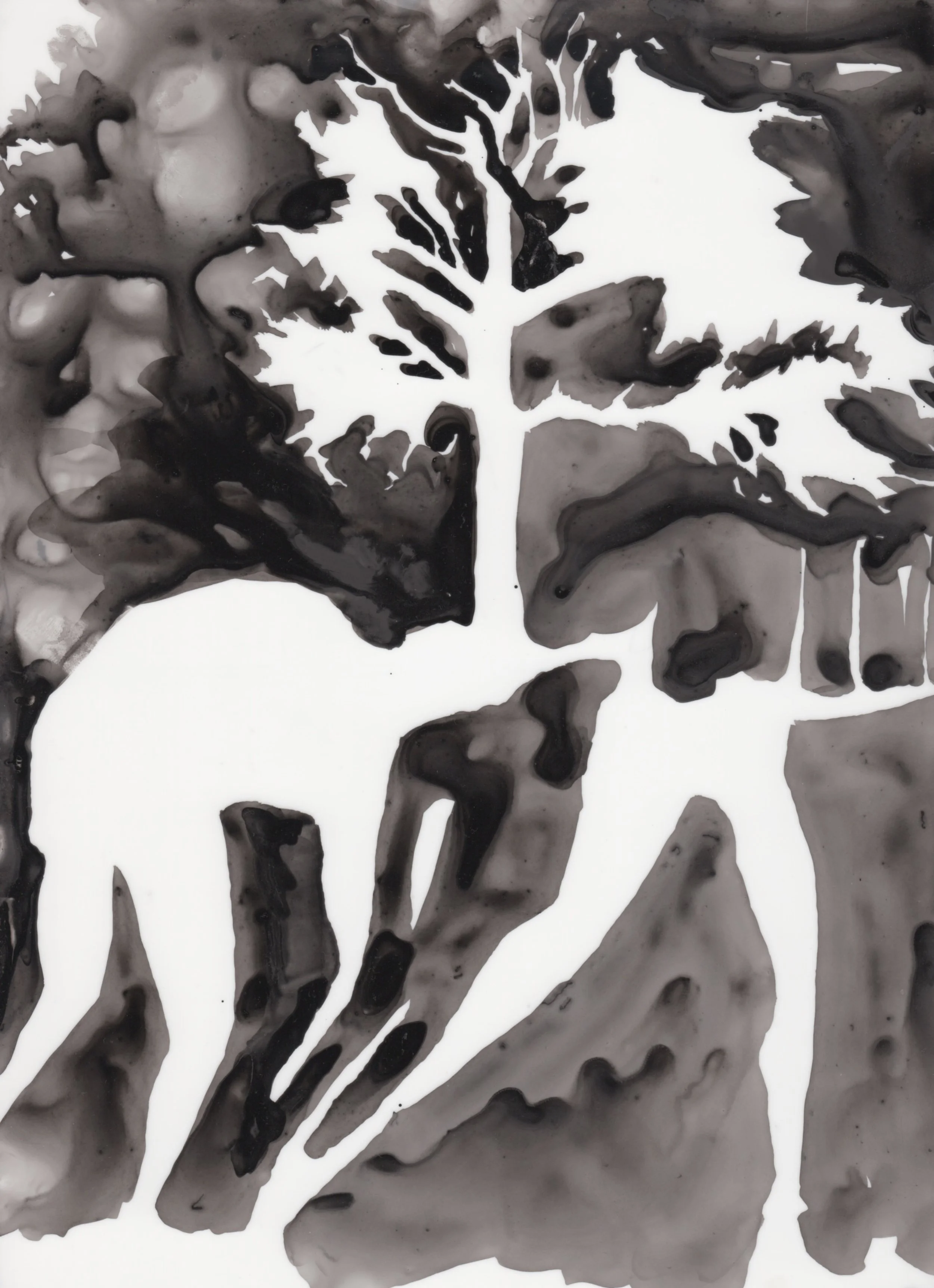In With Nature , 2018 Ink on Translucent Paper, 30 x 23 cm.