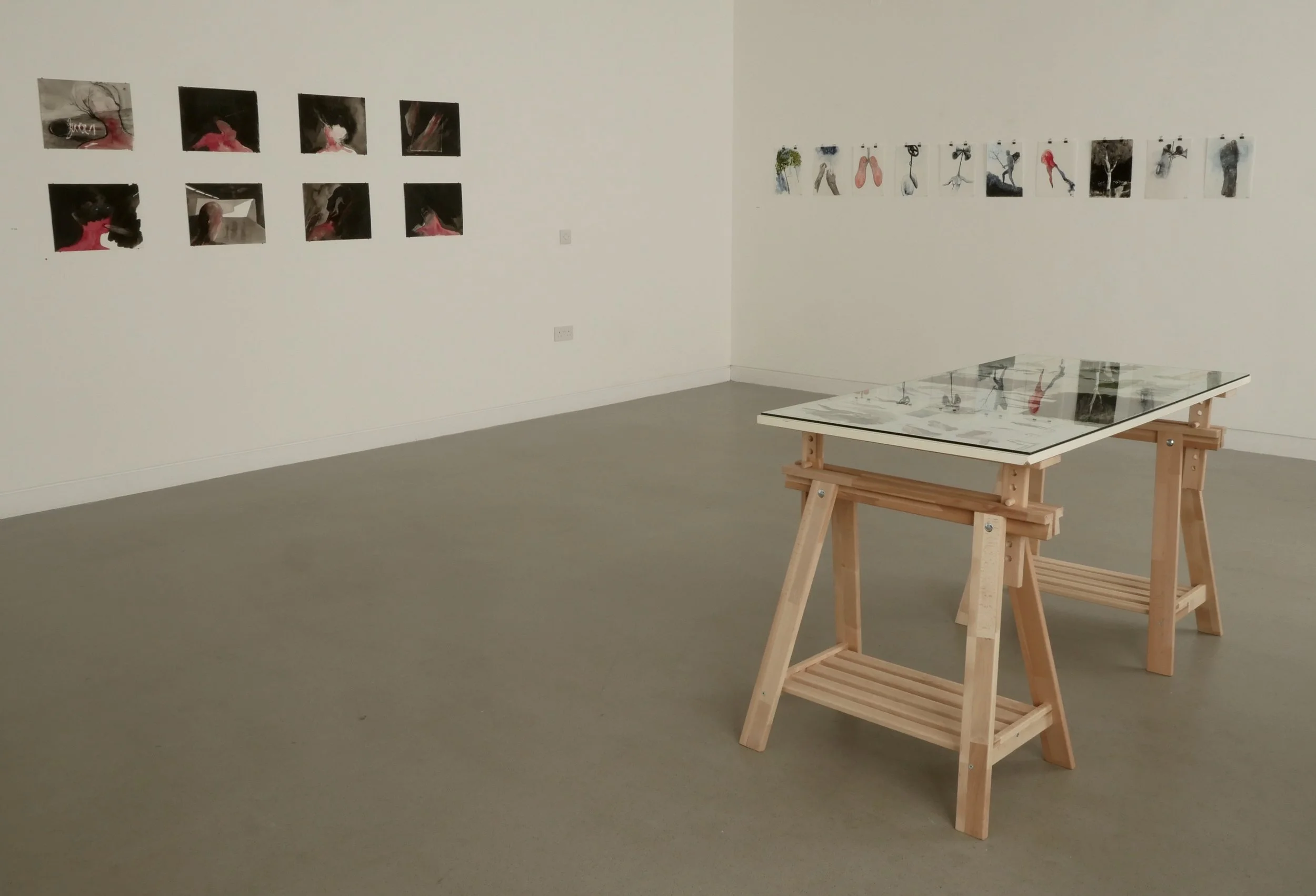 Installation View Mind Fuel Exhibition Crescent Arts Gallery, Belfast.