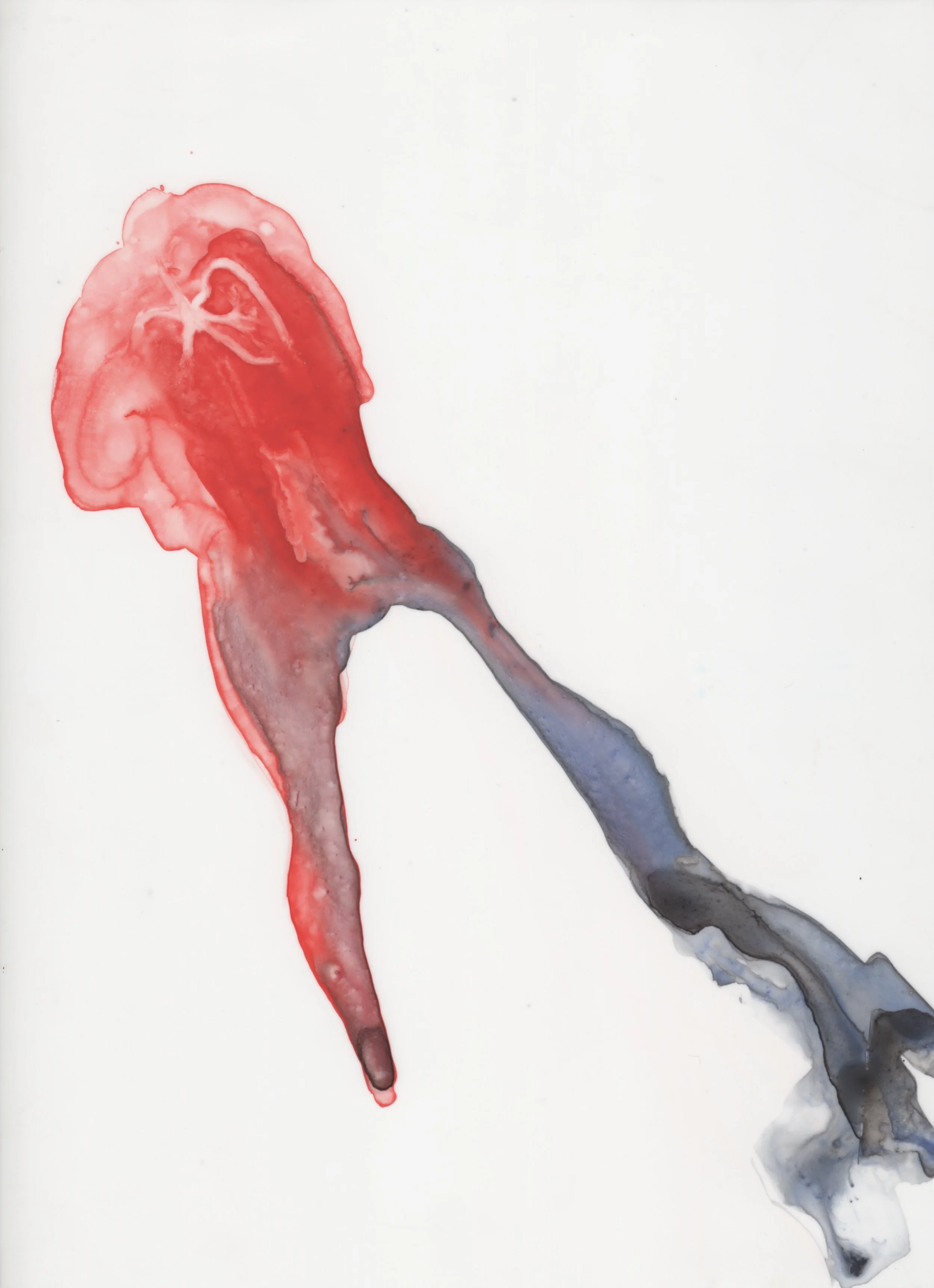 Taste the Pain , 2018 Watercolour on Translucent Paper, 30 x 23 cm.