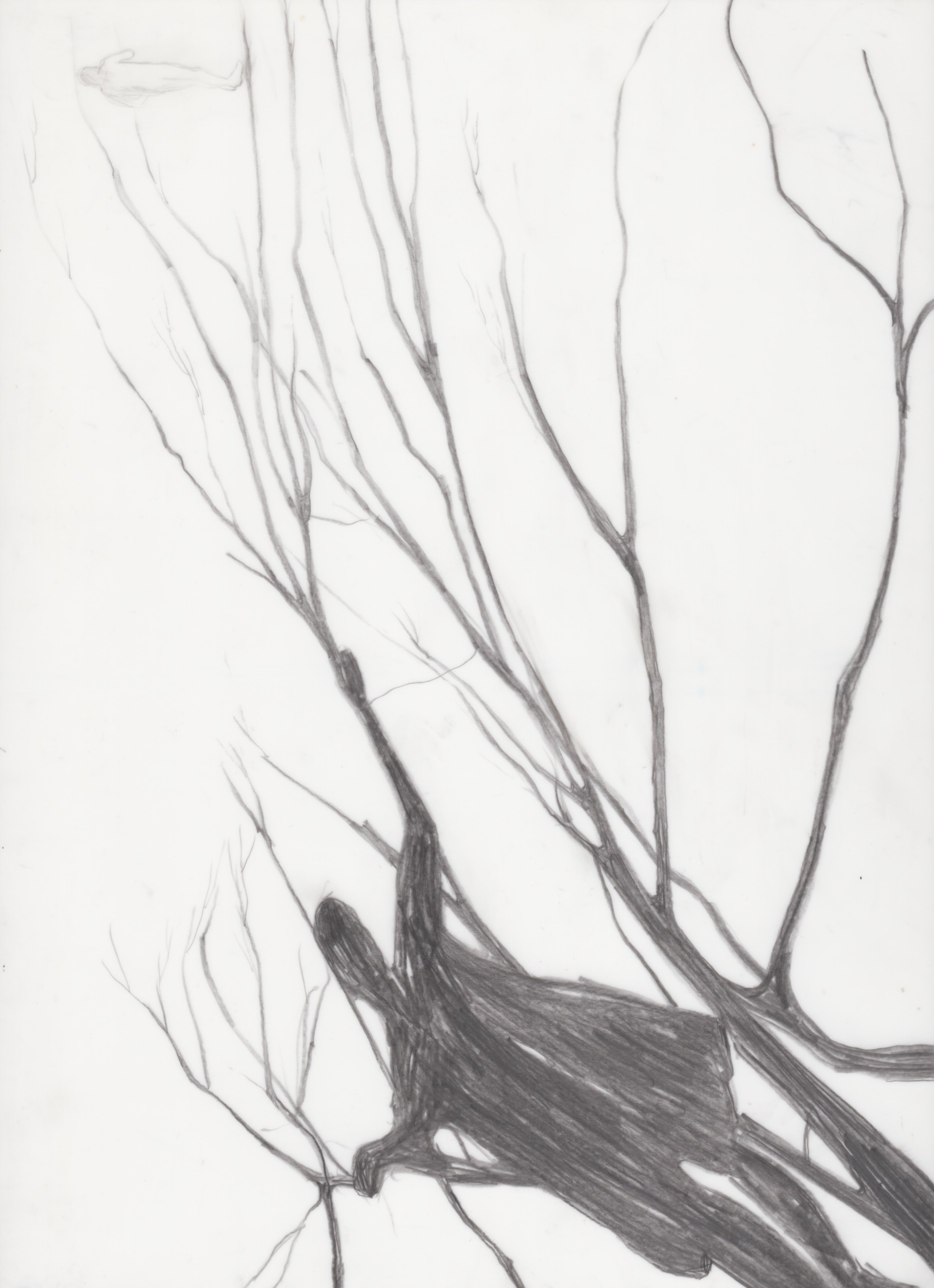 Untitled , 2018 Pencil on Translucent Paper, 30 x 23 cm.