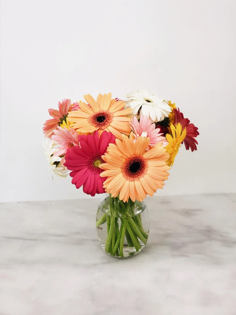 Flower-Arrangement-Gerbera-Daisies-790.jpg