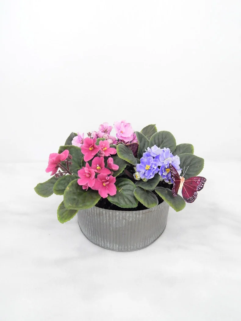 Flower-Arrangement-Spring-Blossoms-790.jpg