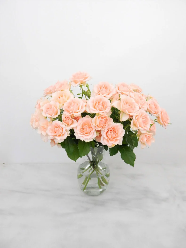 Flower-Arrangement-Peach-Sprays-790.jpg