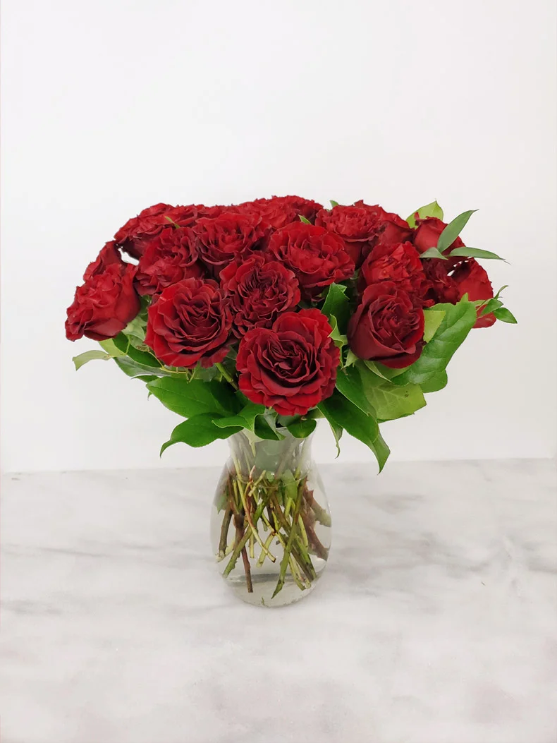 Flower-Arrangement-Enchanting-Two-Dozen-Red-Roses-790.jpg