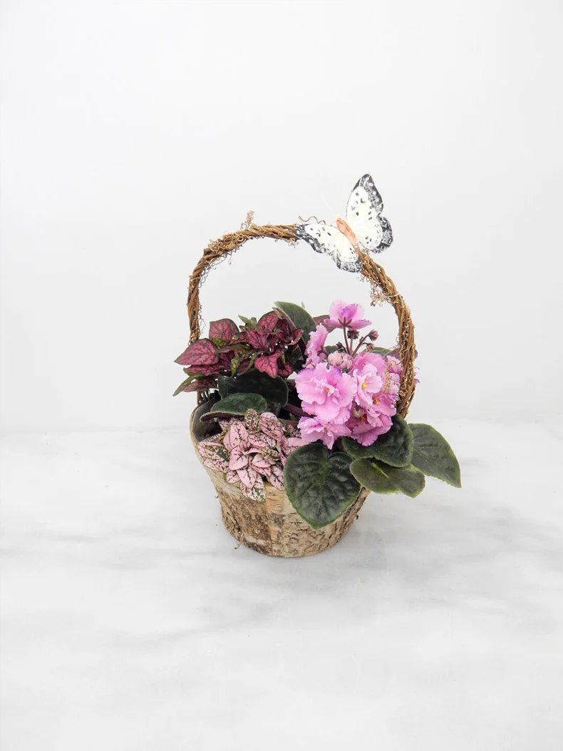Flower-Arrangement-Assorted-Pink-Plants-790.jpg