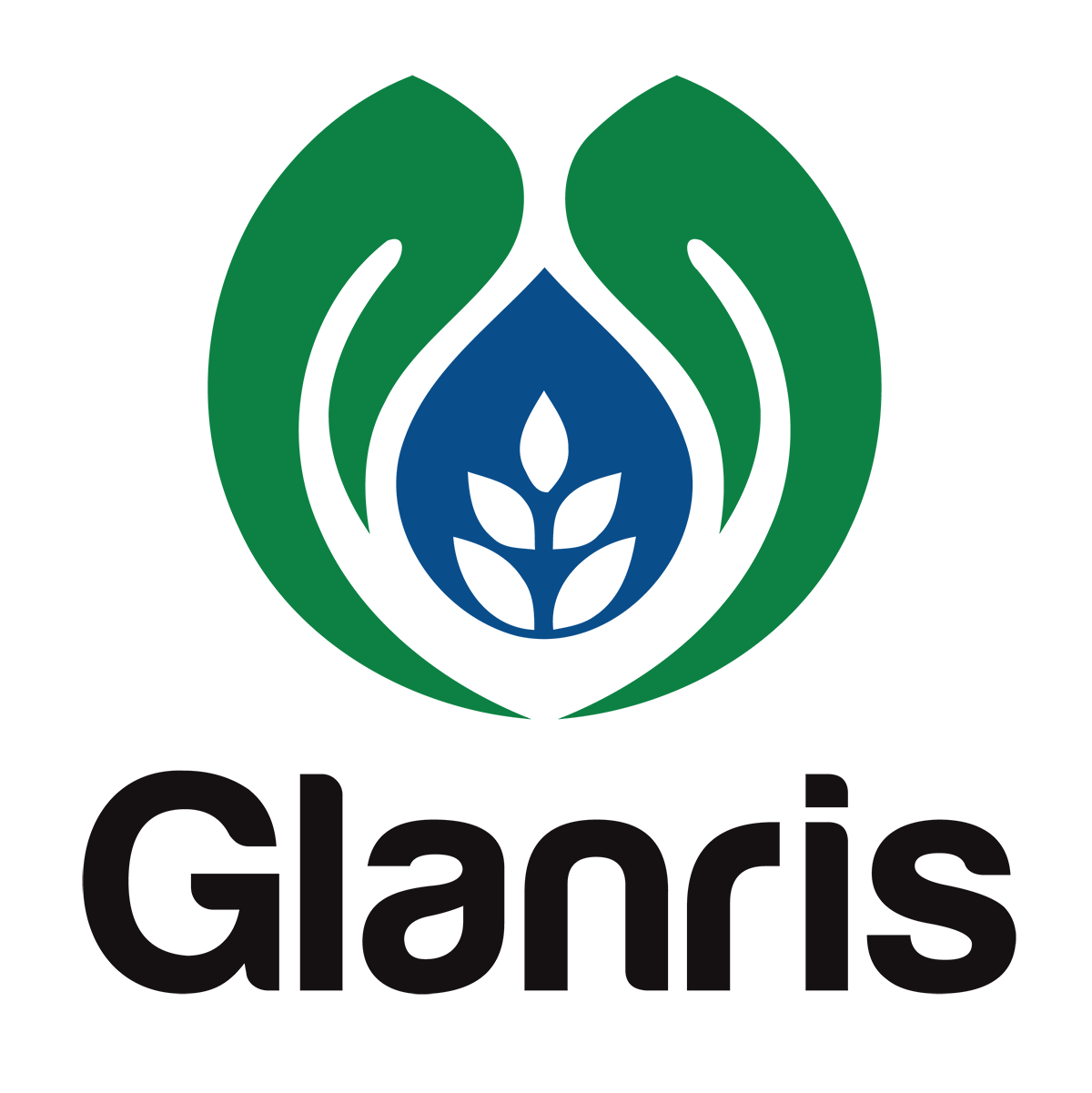 Glanris Biocarbon Biochar