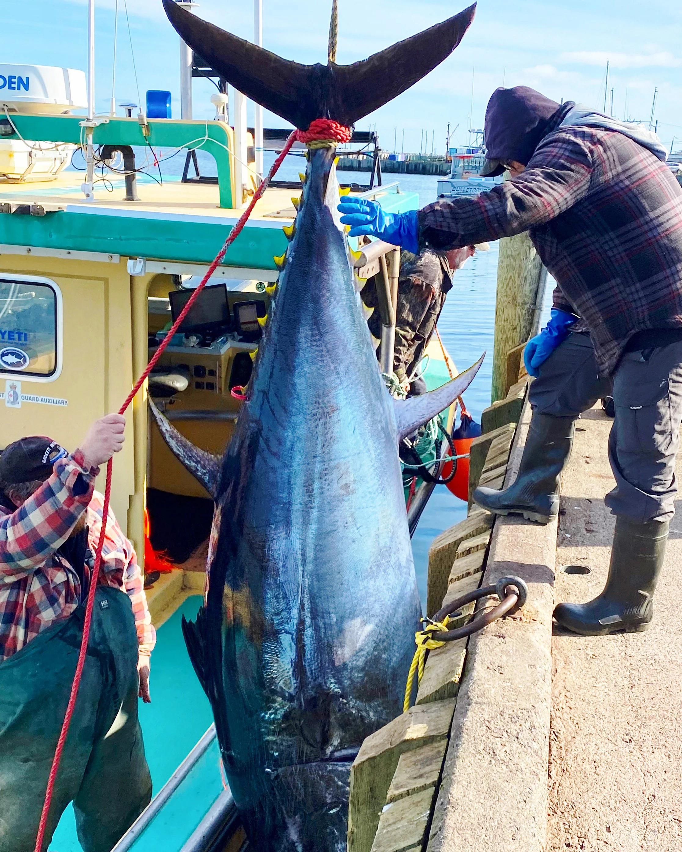 Here’s Why Giant Bluefin Tuna Fishing Needs To Be On Your Bucket List