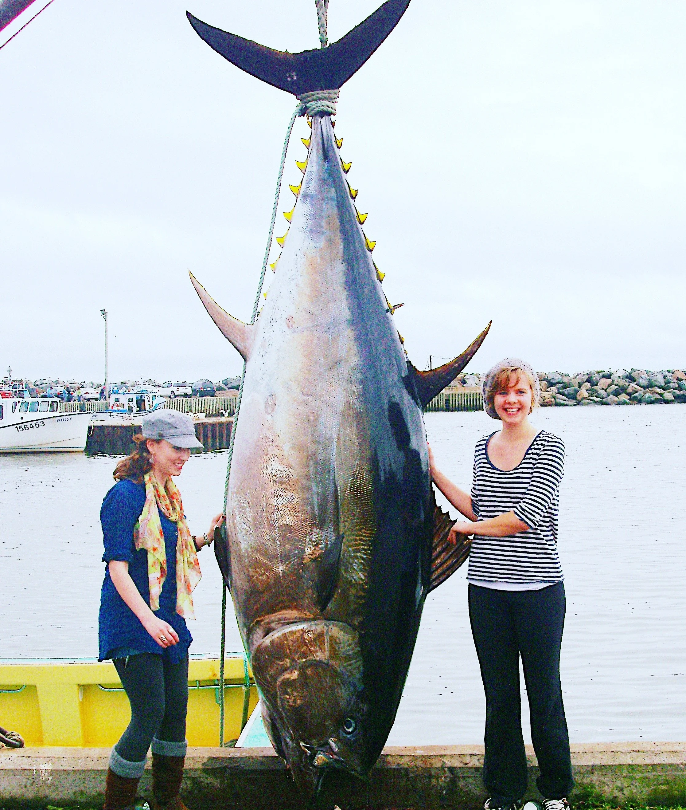 The Premium Tuna Fishing Charter Service