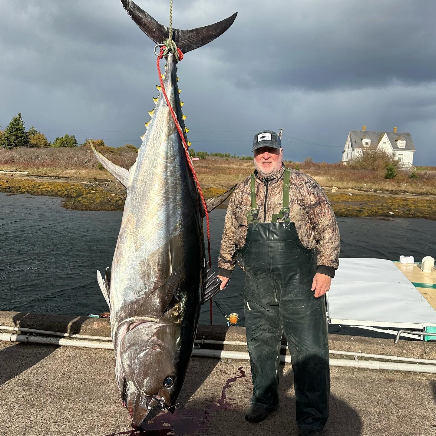 World Record Tuna Charters  All Inclusive Bluefin Tuna Fishing