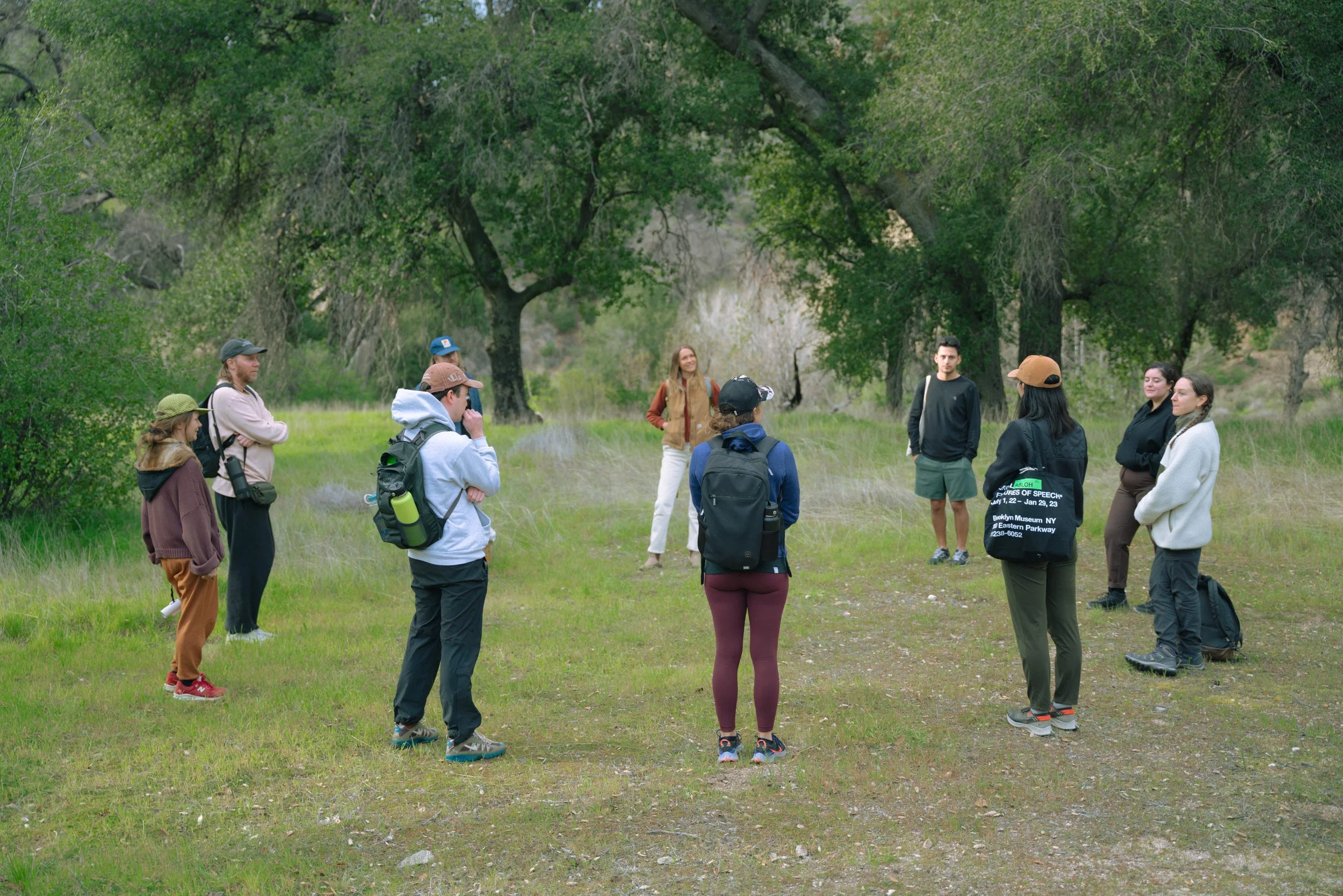 Forest Bathing 