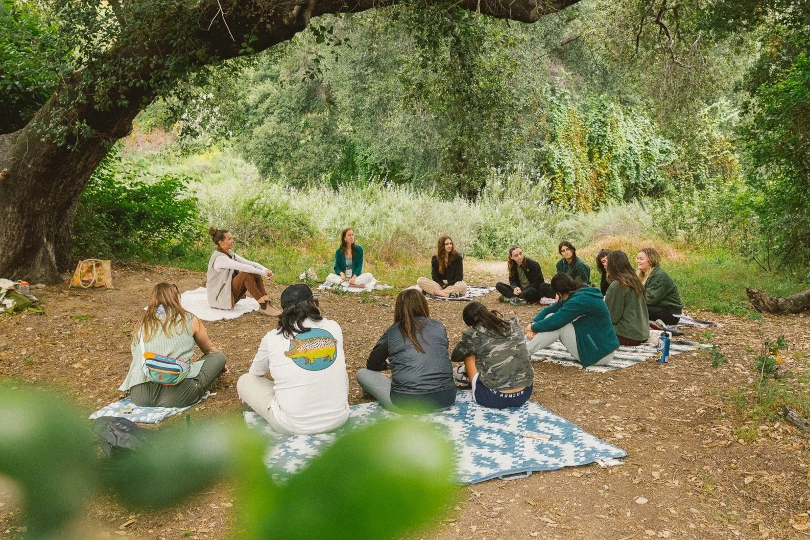 Forest Bathing