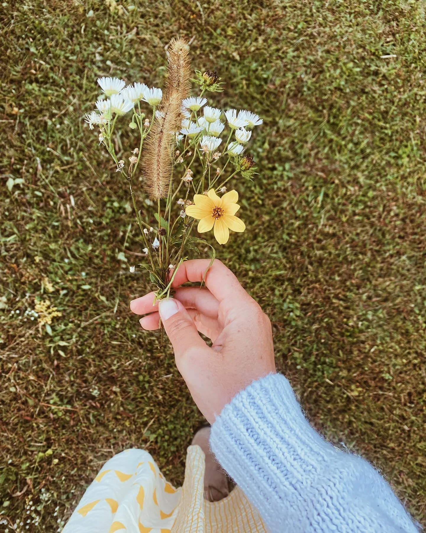 I grew up in the country on a five acre pig farm. In the summer and late fall wildflowers grew in the fields around my home. I spent a lot of time wandering, listening to the sounds of cicadas and frogs, and making wildflower bouquets to give to my m