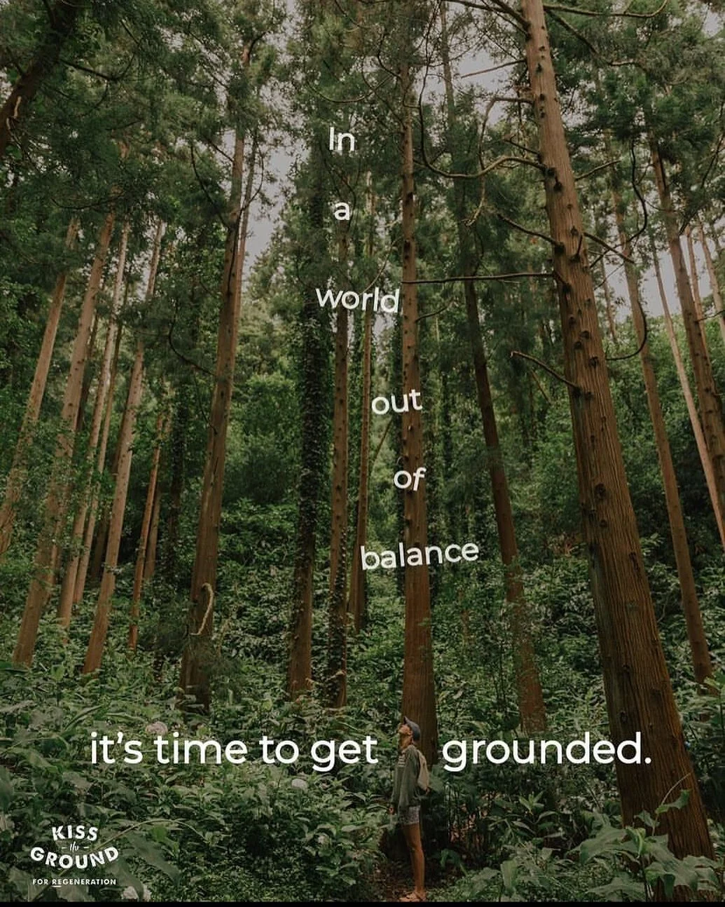 In a world out of balance, it&rsquo;s time to get grounded. 

A reshare of a post by @kisstheground and a photo of mine in a magical forest in the Azores Islands.
