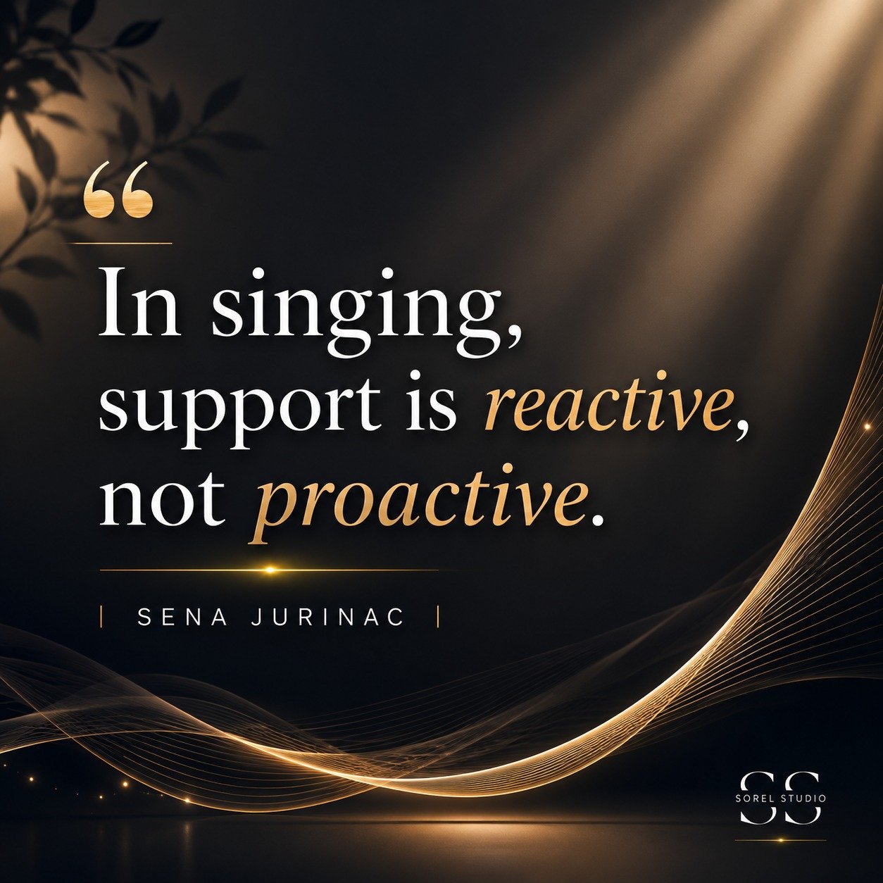 #OperaSinger #VoiceTeacher #VocalTechnique  #ClassicalVoice  #SingingTips