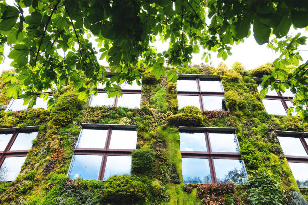 -BUILDING-istockphoto-861830998-612x612.jpg