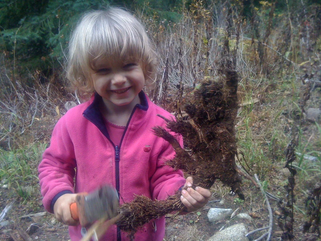 Announcing Herbal Remedy Sale - 5 Days Only