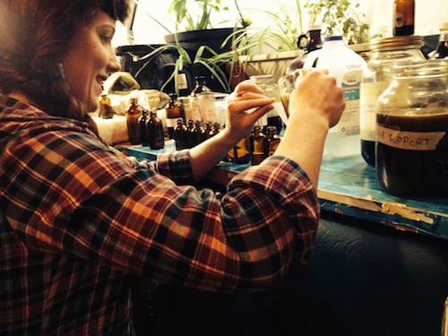 Sprouting Young Herbalists - the New Apprenticeship Program