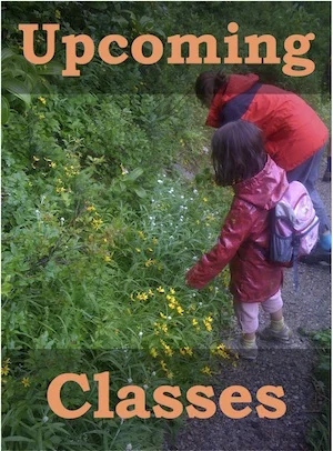 Brigid's Day: Planting Seeds + Upcoming Herbal Workshops in Nelson and Vancouver