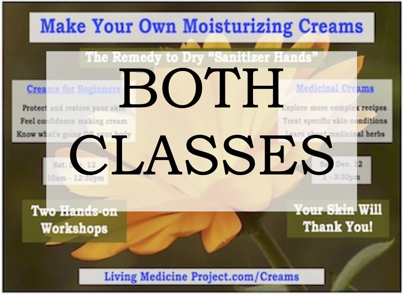 Make Your Own Moisturizing Creams Class - BOTH CLASSES