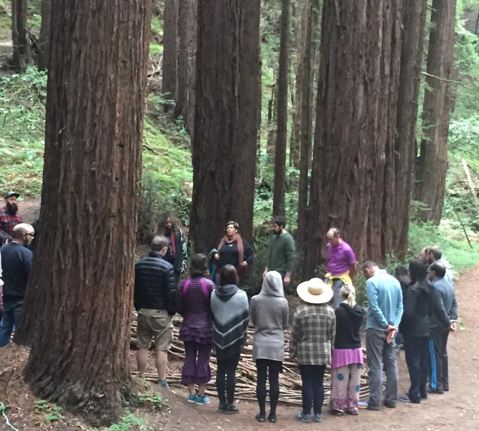 retreat photo in enchanted forest.jpg