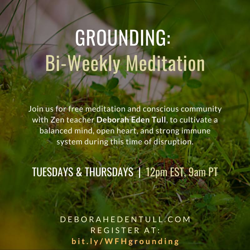 GROUNDING: Bi-Weekly Meditation