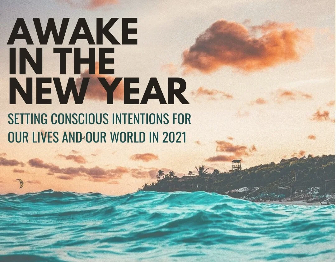 Day of Mindfulness: Awake in the New Year: Setting Conscious Intentions for Our Lives and Our World in 2021