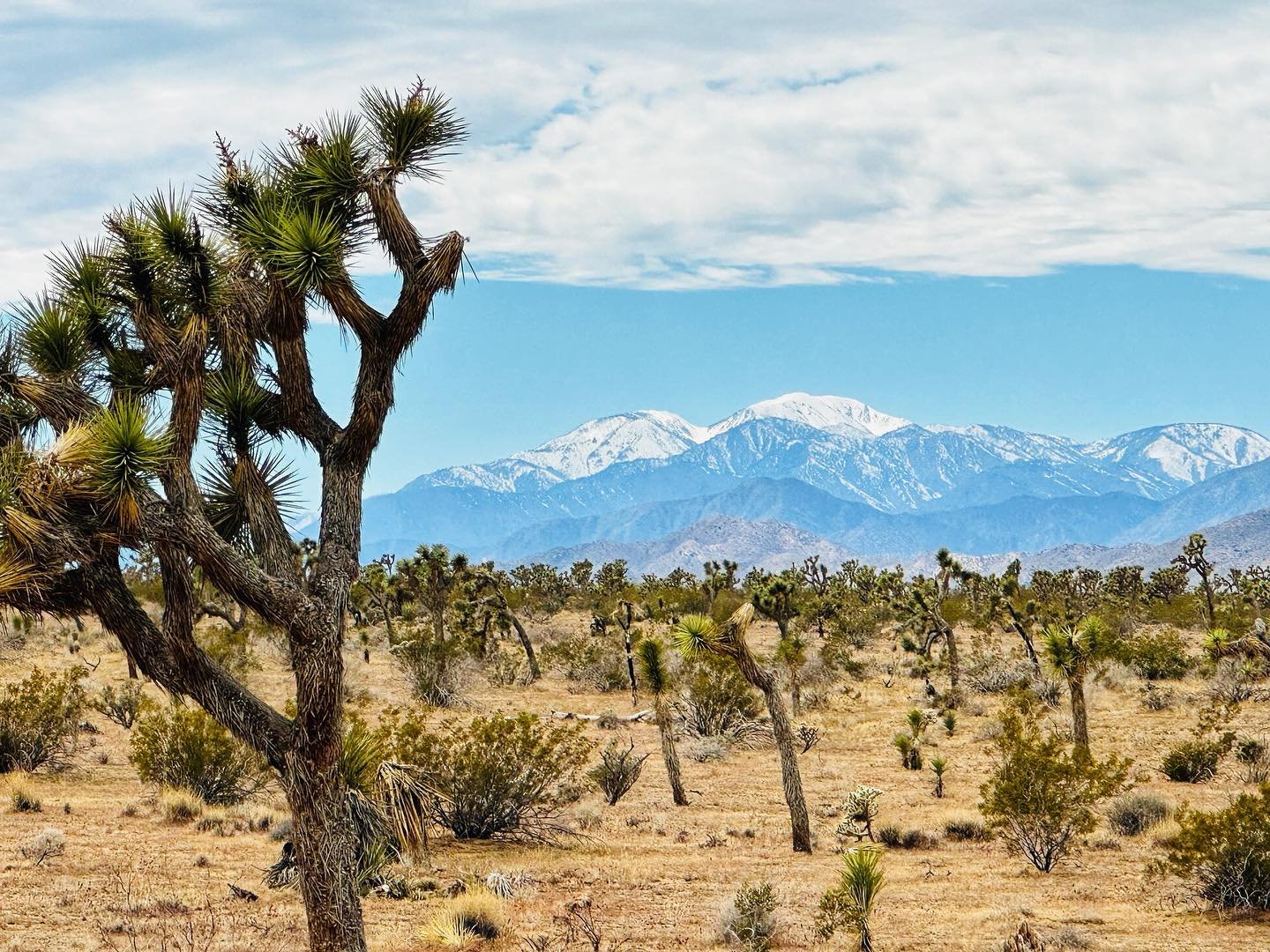 Earth and air&hellip; the distillation of the elemental world&hellip;. the spaciousness of the desert. I am reminded of how deep and subtle our listening can stretch within the support of silent llandscapes&hellip; Space to attune to the vibrational,