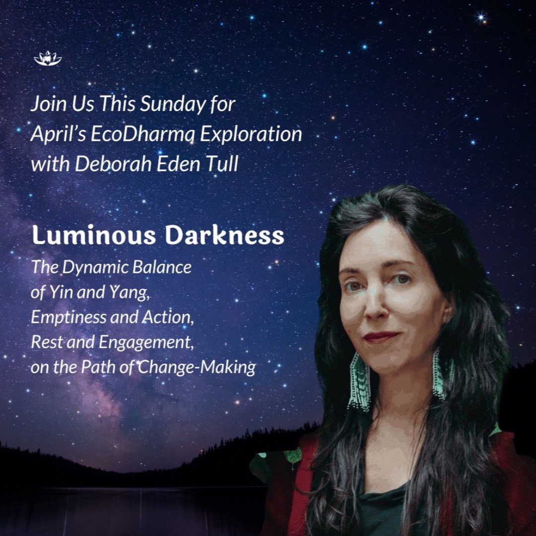 What strength might we discover when we connect to often-overlooked virtues such as stillness, rest, and receptivity? Join us on Sunday, April 28th for an EcoDharma Exploration hosted by @1earthsangha We will investigate the sacred balance of light a