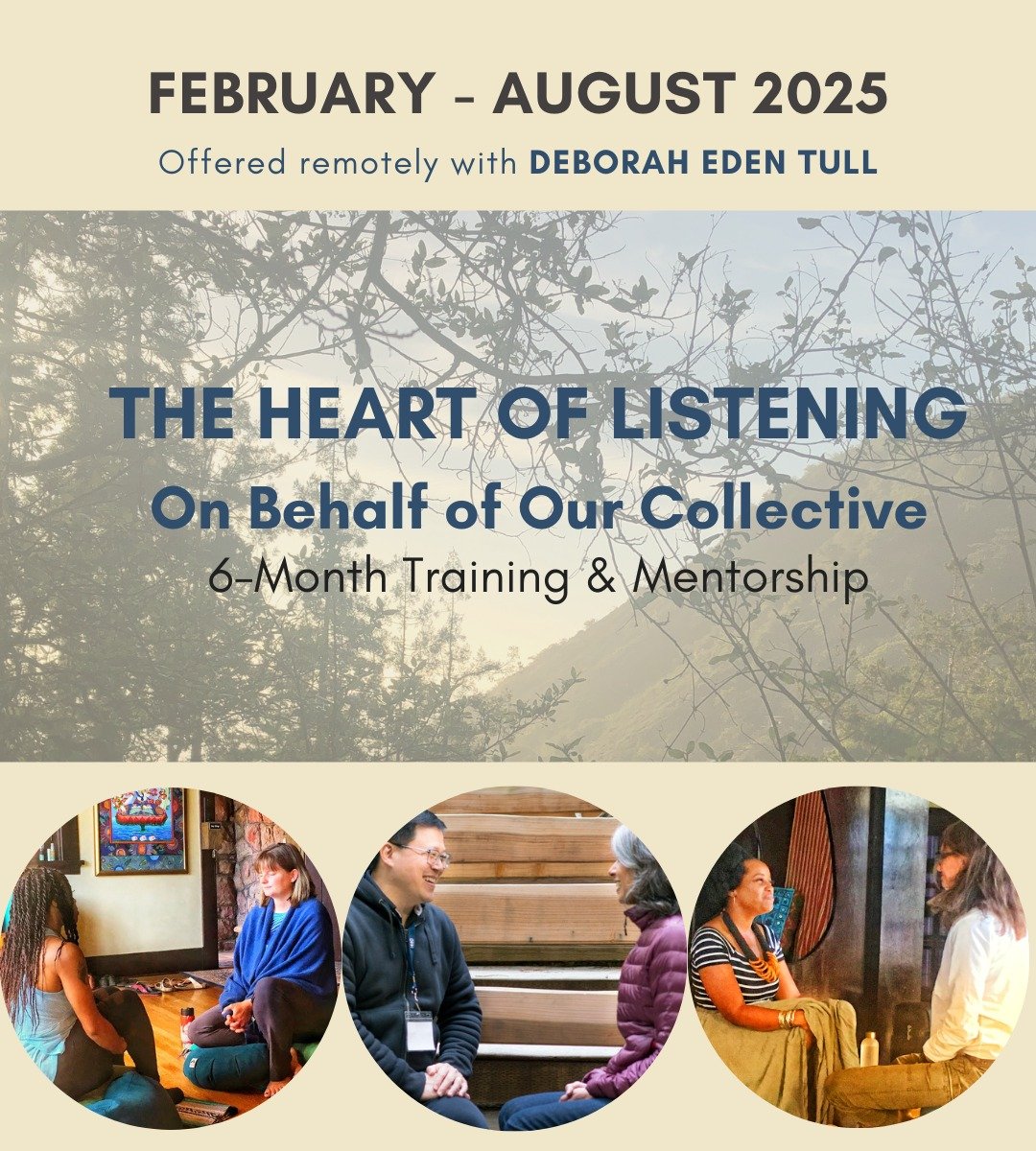 We are now accepting applications for 2025! This training is for those who are ready to go much deeper in their embodiment of presence, courage, deep listening, relational intelligence, and regenerative leadership on behalf of collective transformati