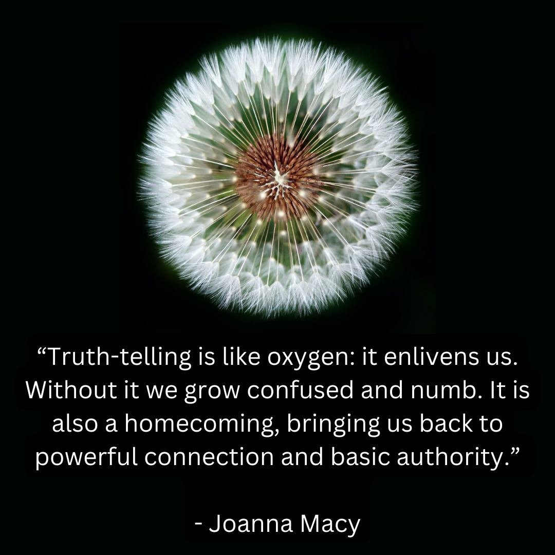 &ldquo;Truth-telling is like oxygen: it enlivens us. Without it we grow confused and numb. It is also a homecoming, bringing us back to powerful connection and basic authority.&quot;
- Joanna Macy

Join me for a 4-hour online journey integrating MEDI