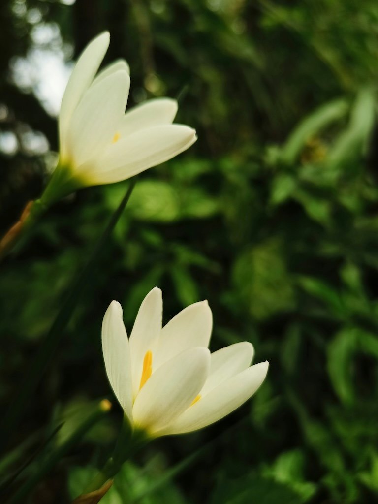 Luminous Darkness: The Power of Embracing the Unknown