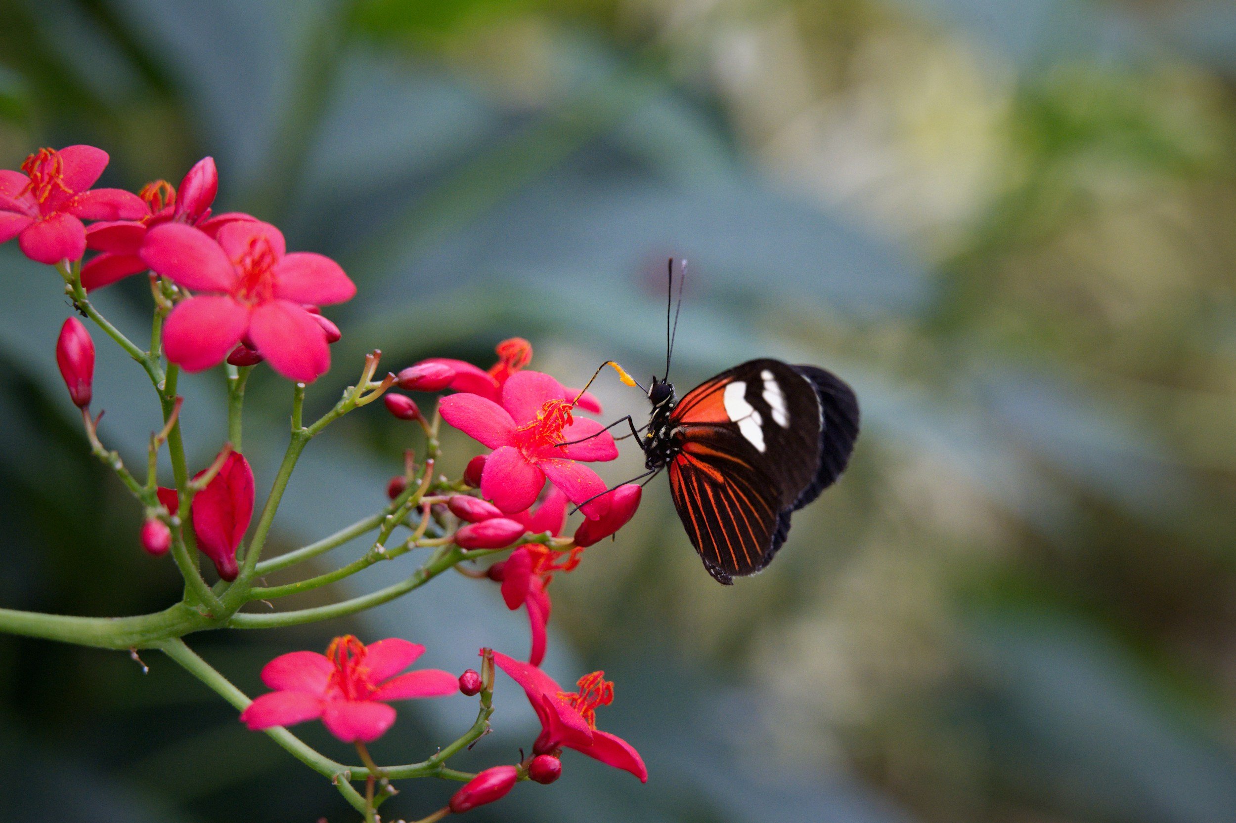 The Sacred No: Conscious Boundaries Alongside Boundlessness