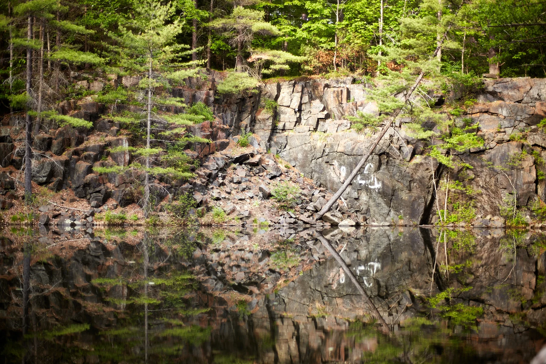 _MG_6524.jpg