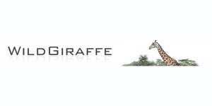 Wild Giraffe