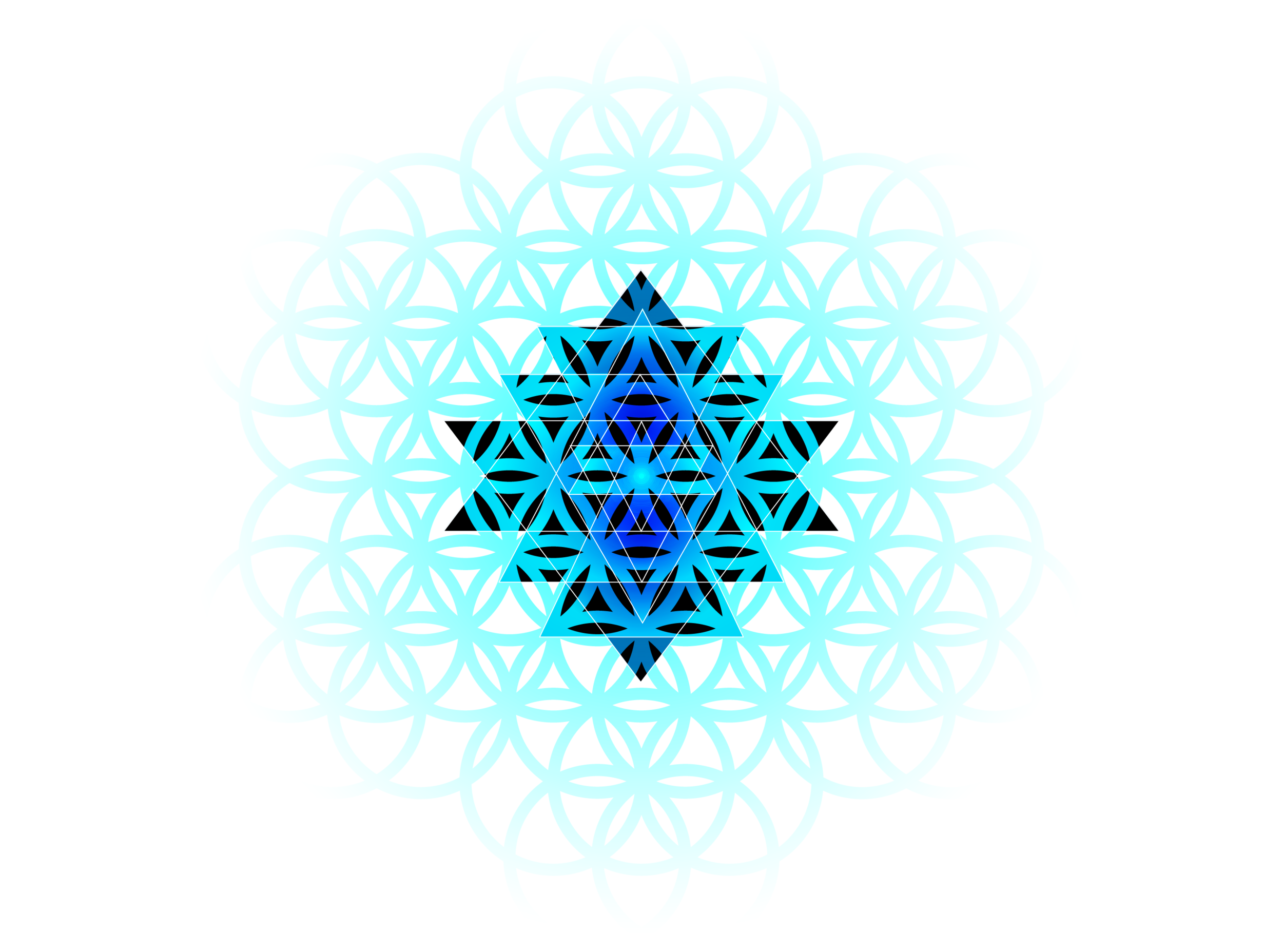 LandingPage-SacredGeo-3-01.png