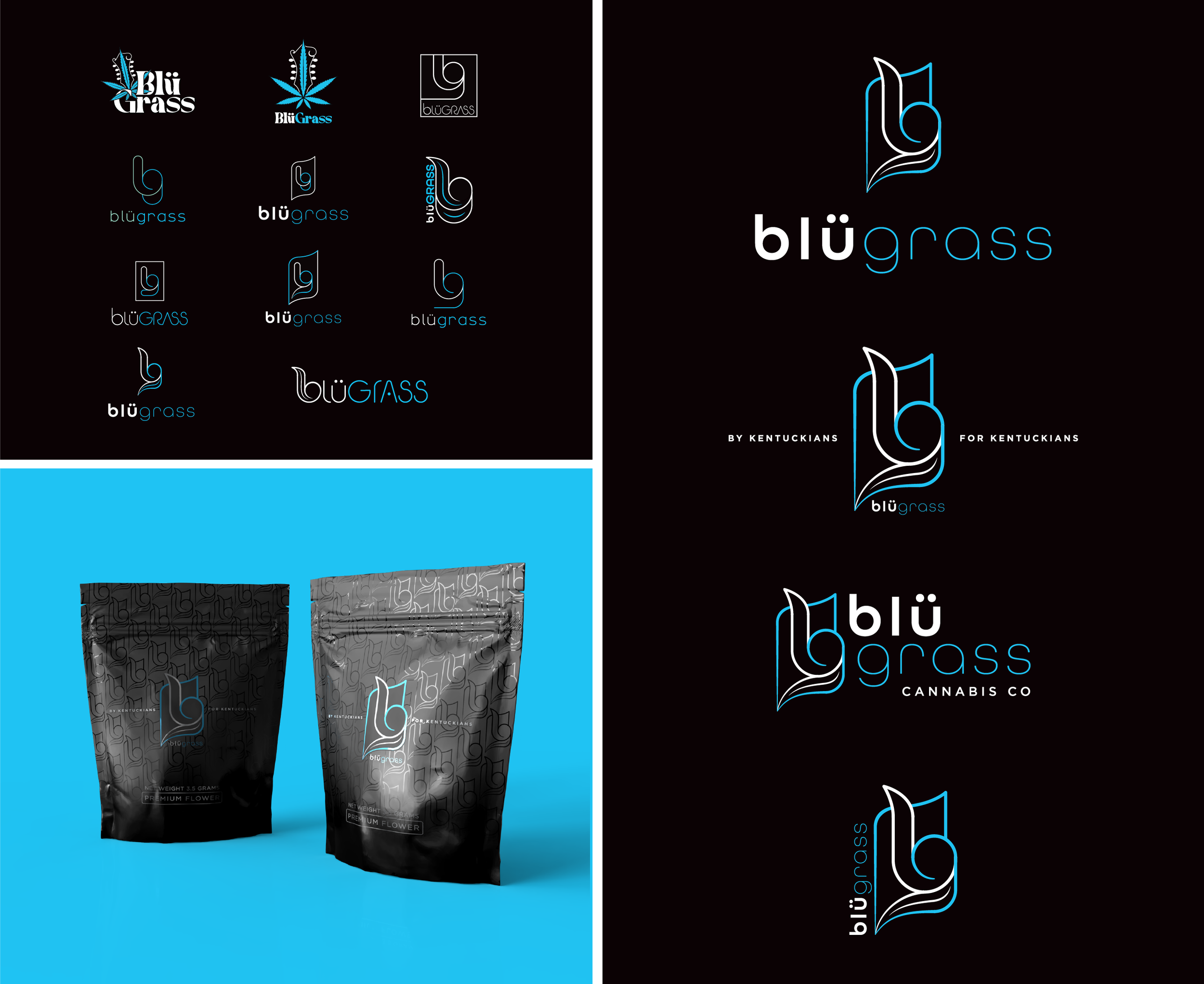BluGrass Website Final-02.png