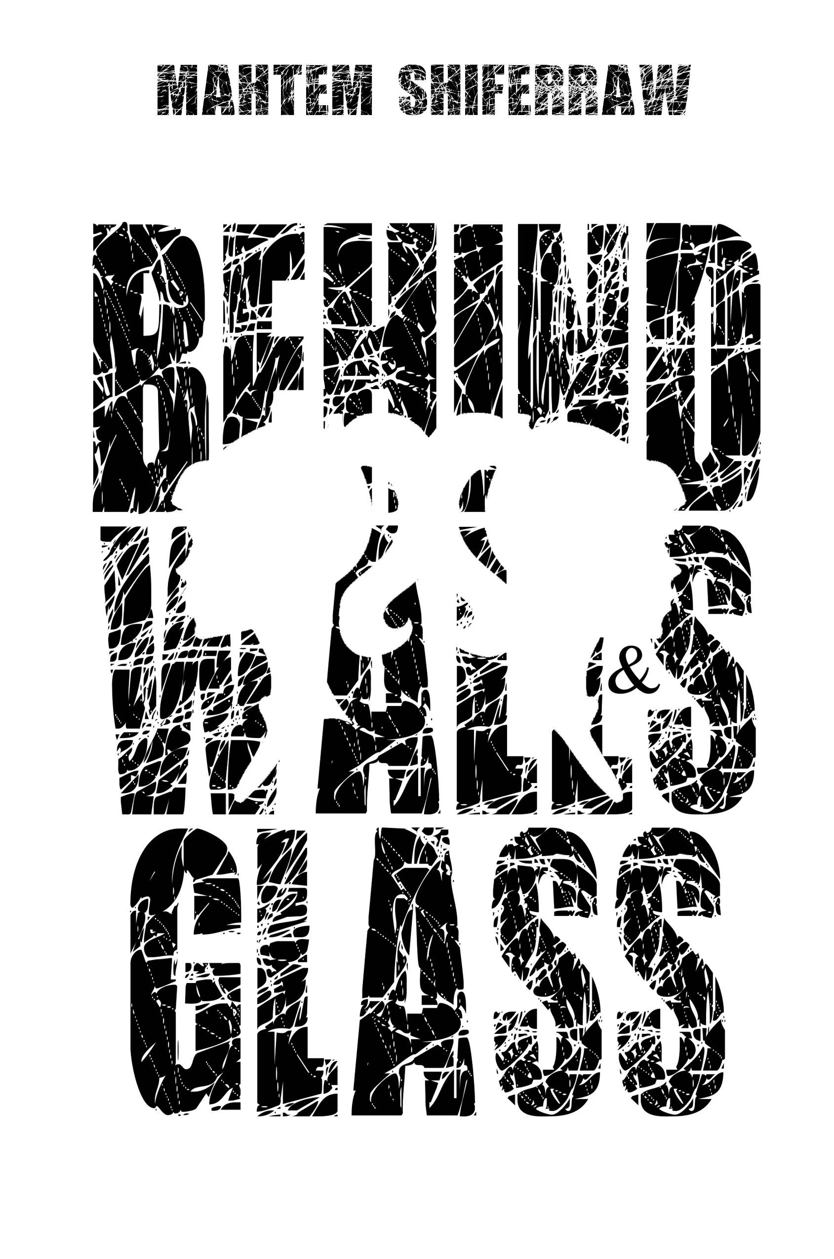 Behind Walls & Glass - Book Cover Final.jpg