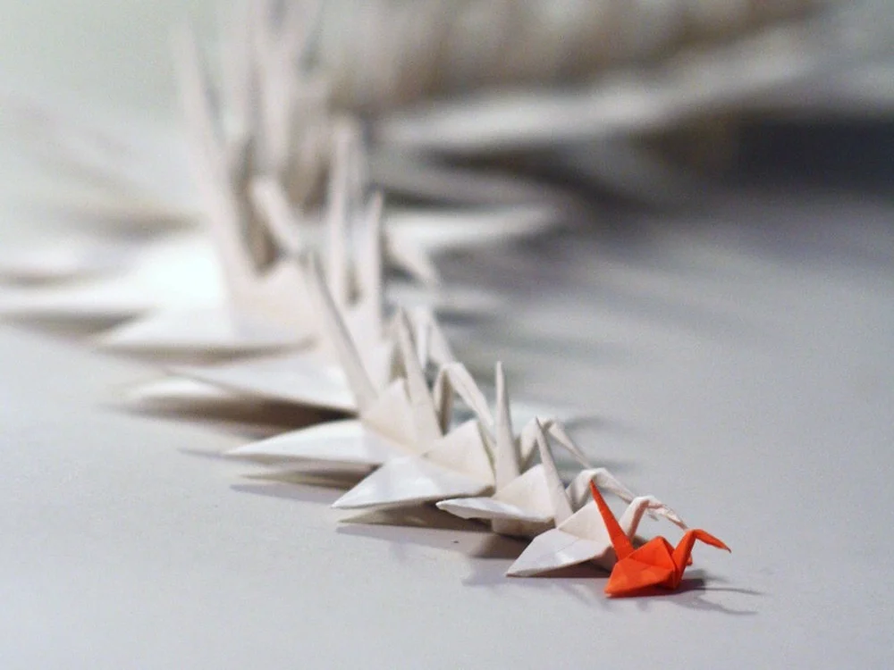 crane4.jpg