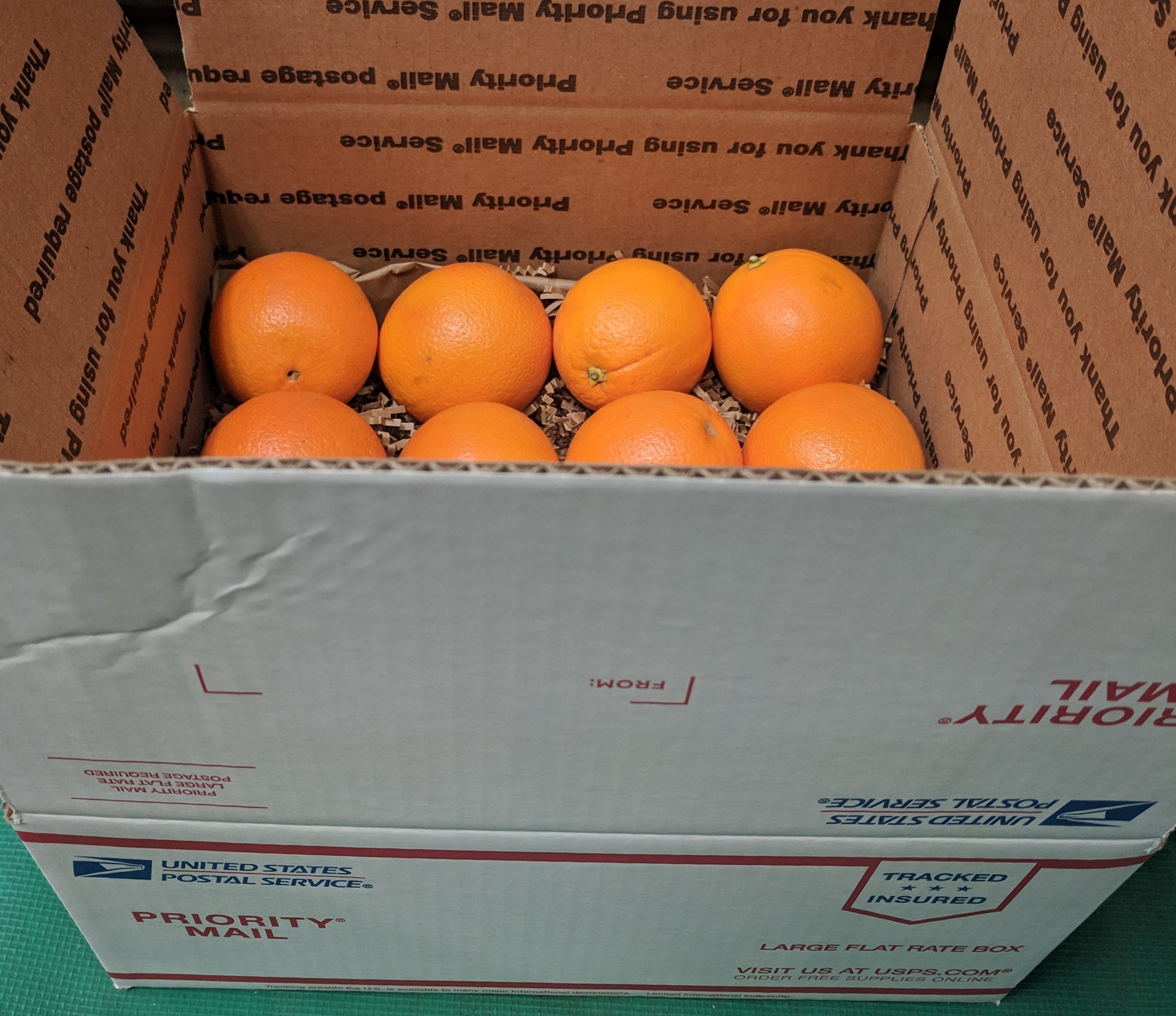 Order Organic Navel Oranges