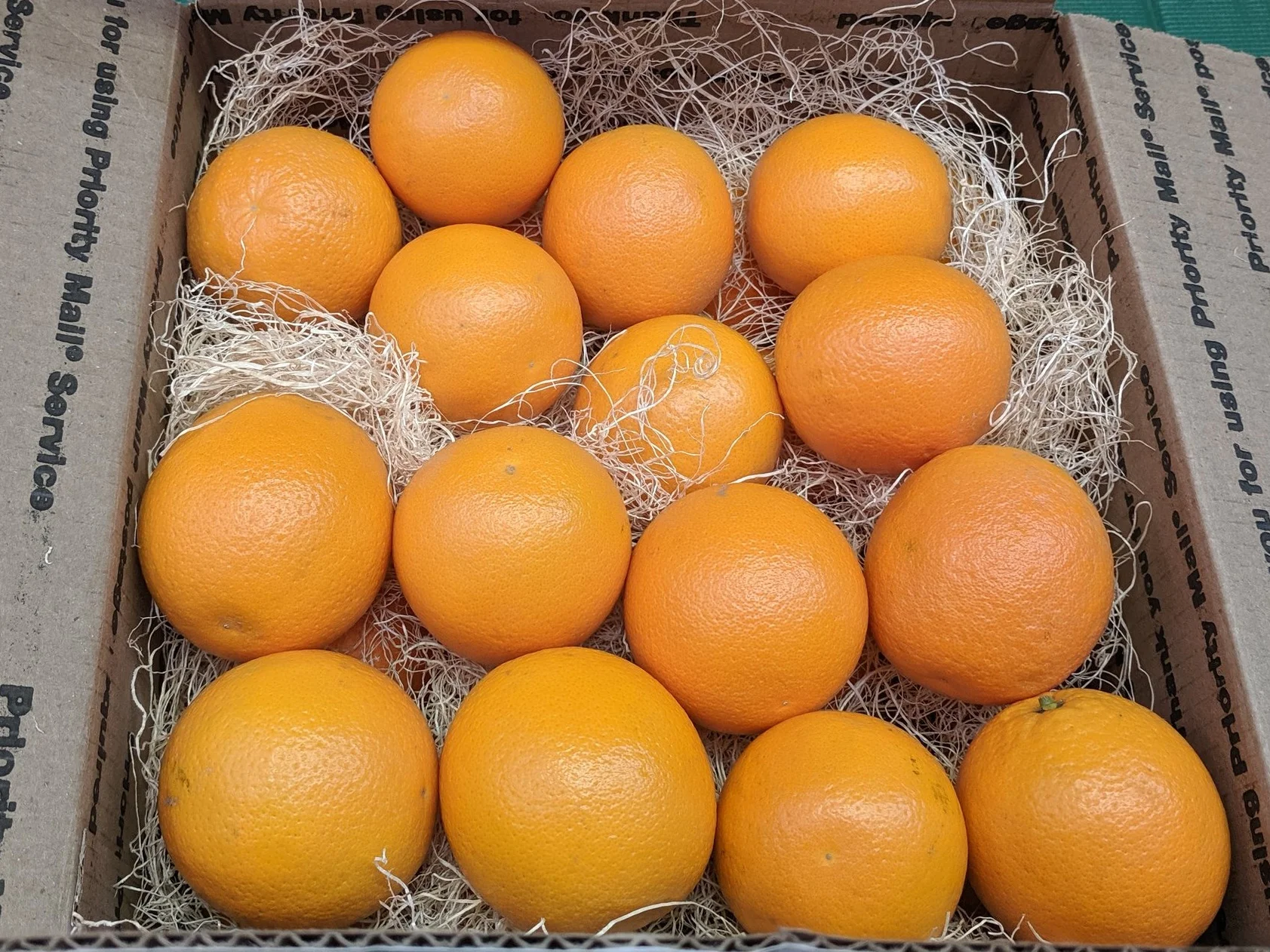 Online Store — Sequoia Roots Farm