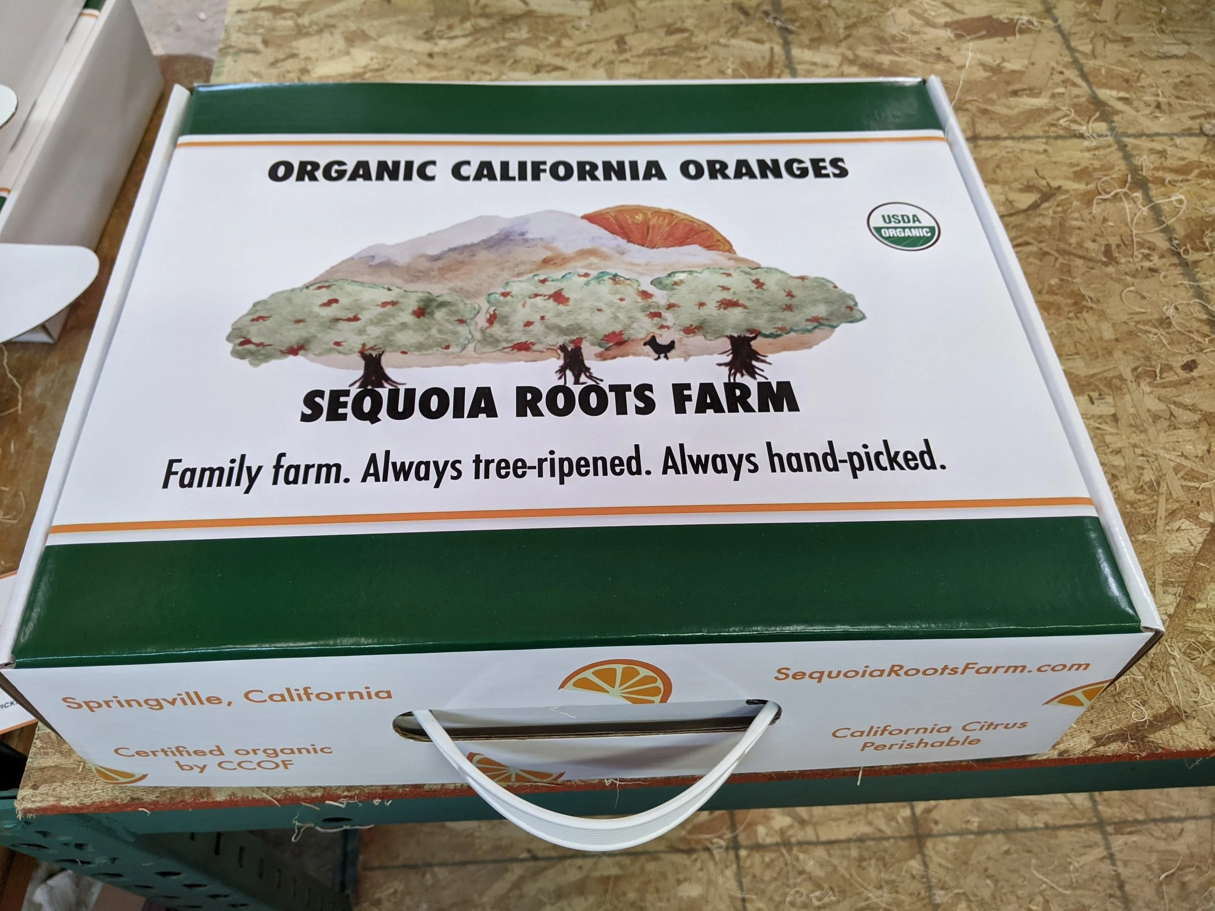 Gift Box front w:handle.jpg