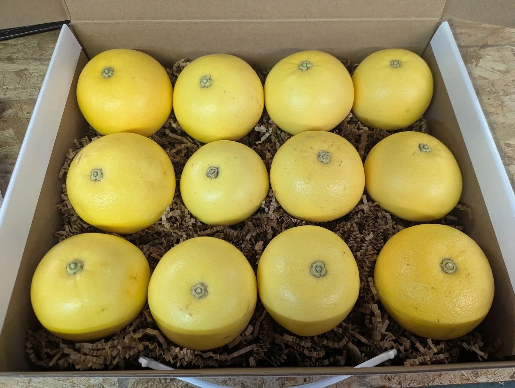 Organic White Marsh Grapefruit Gift Box: Size Mixed