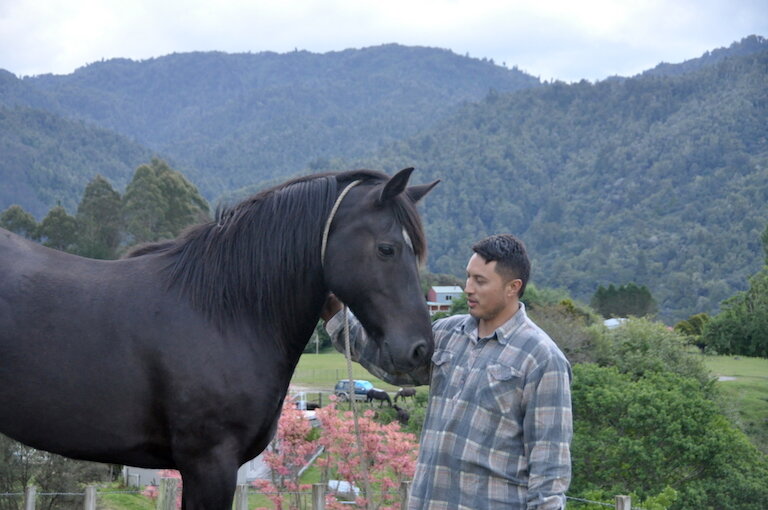 WHAT MAKES A FOREST HEALTHY? MĀORI KNOWLEDGE HAS SOME ANSWERS