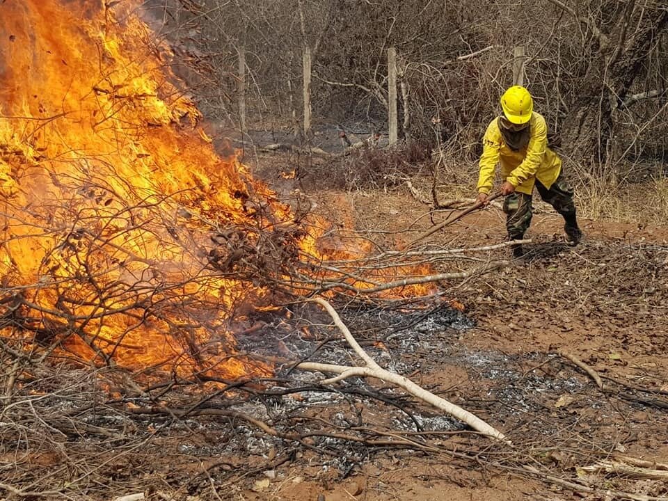 FROM THE FRONTLINES: FIGHTING BOLIVIA'S FOREST FIRES