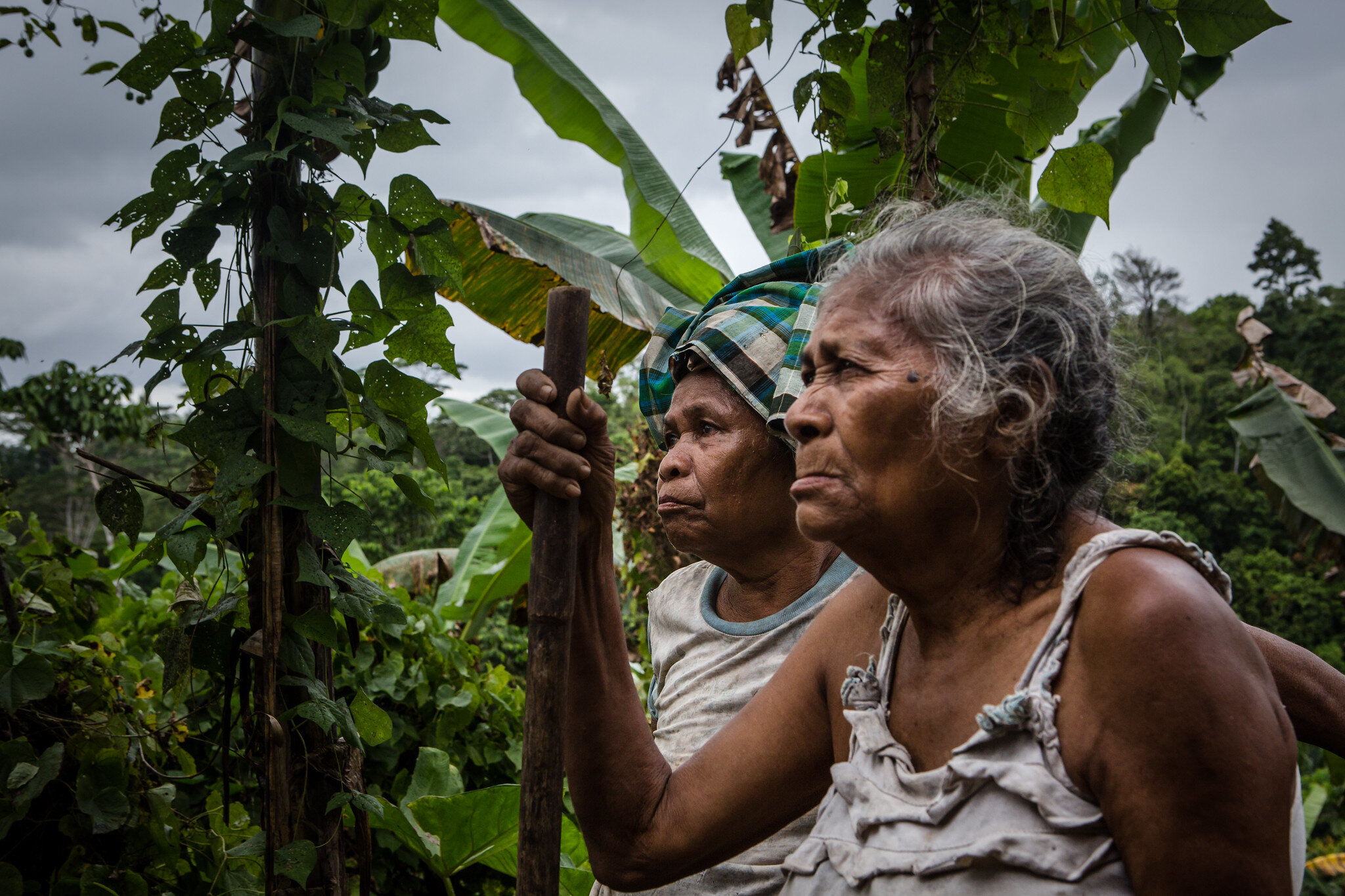 INDIGENOUS LANDS CRUCIAL FOR CONSERVATION