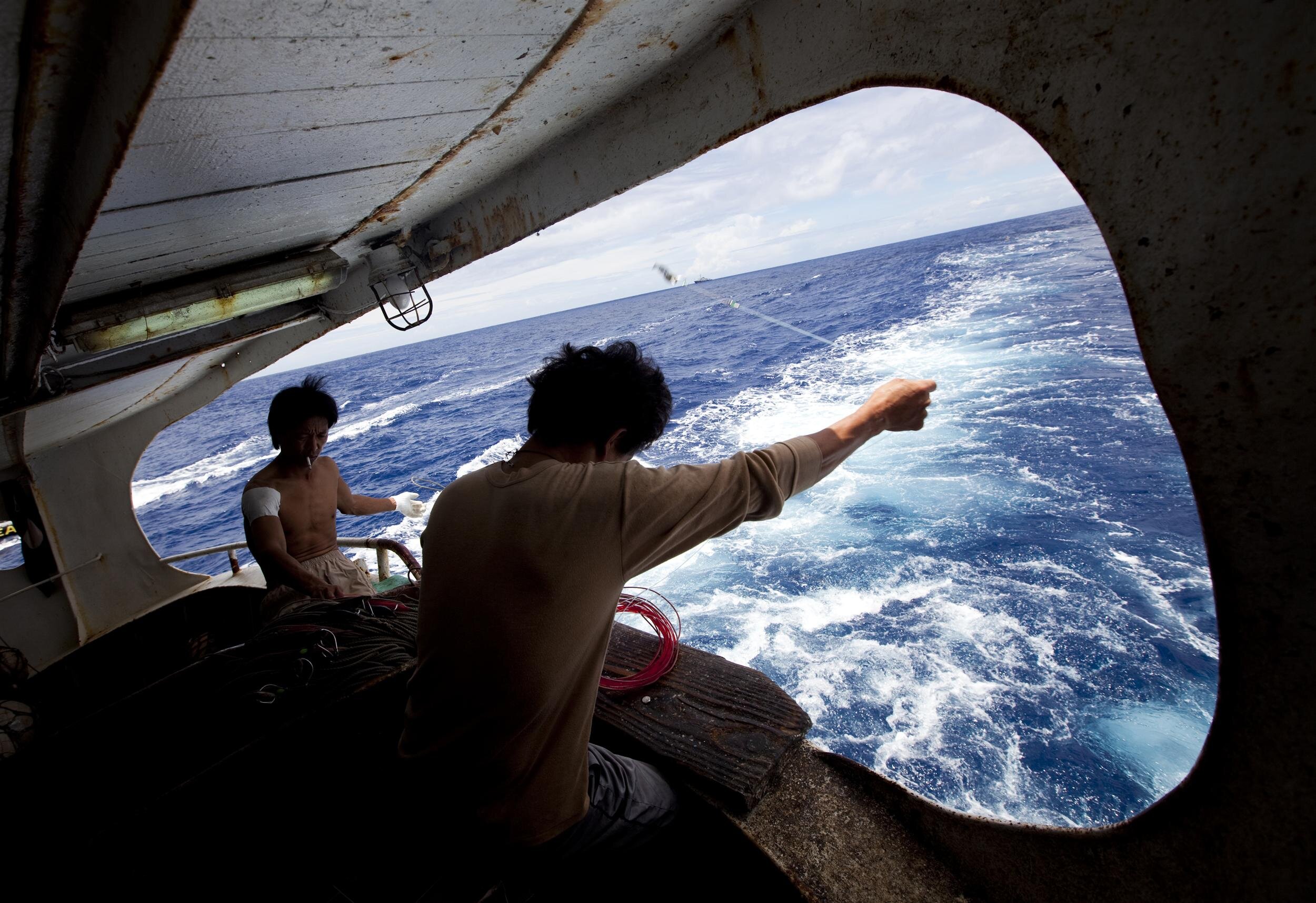 PANDEMIC STAPLE: REPORT LINKS TOP TUNA COMPANY TO FORCED LABOR, ILLEGAL FISHING